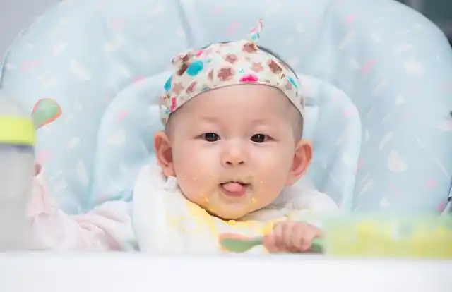 破壁机抽真空_破壁机是什么 高速搅拌机 破壁机功能选择