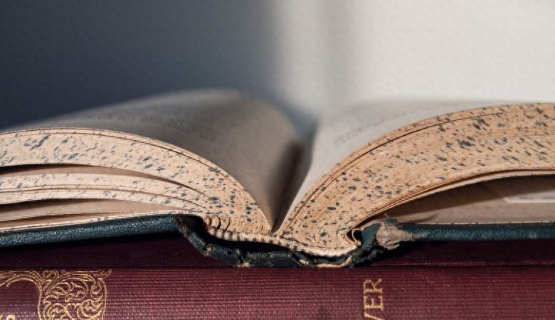 比较文学与比较文化十讲_从比较文学到比较文化_比较文学文化差异