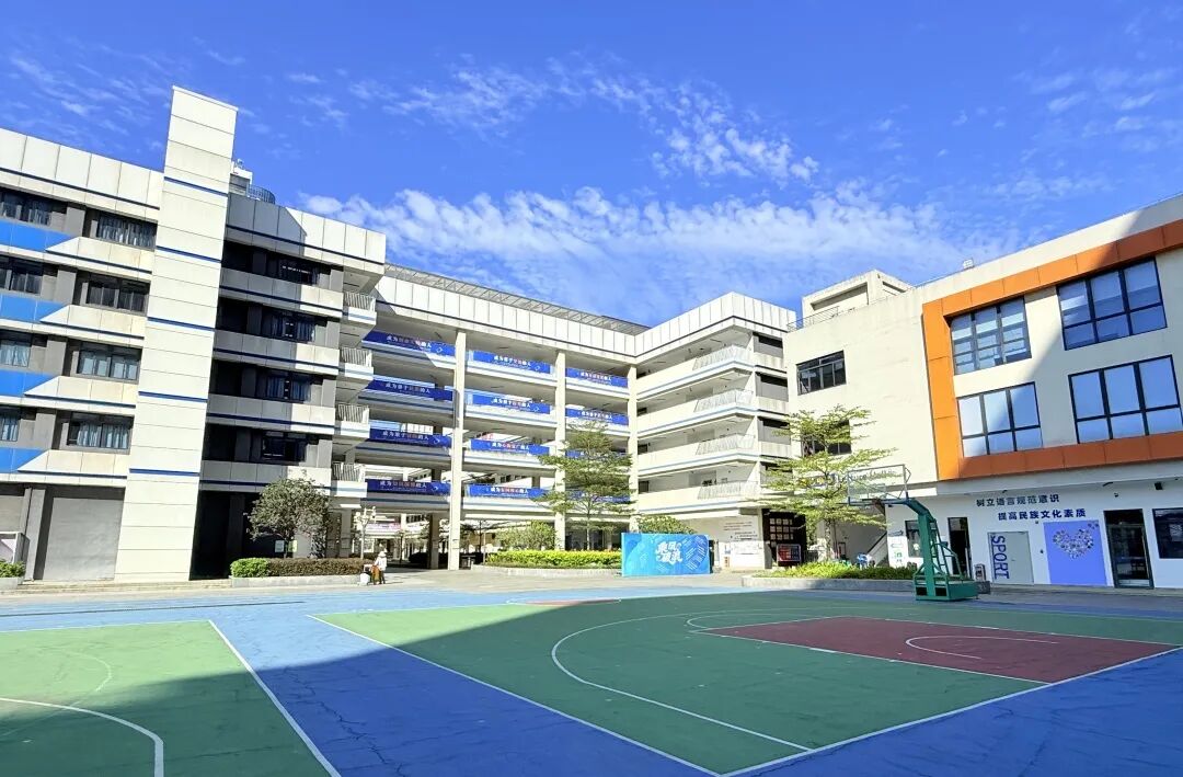 27届基础夯实策略布局_华侨生联考_26届备考提分效率