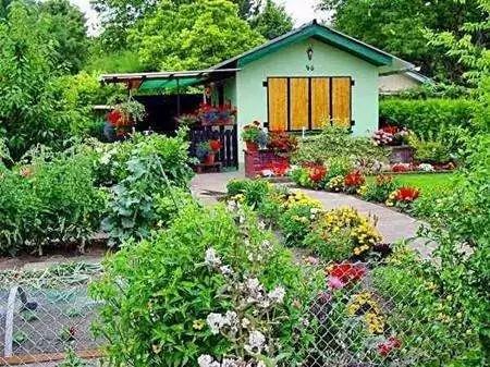 中国创业失败案例_90后返乡创业农场失败原因_山东大棚蔬菜种植补贴