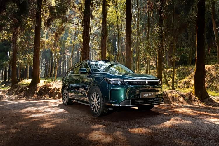 防撞桶摆放_防撞桶里面装什么_防撞桶布局