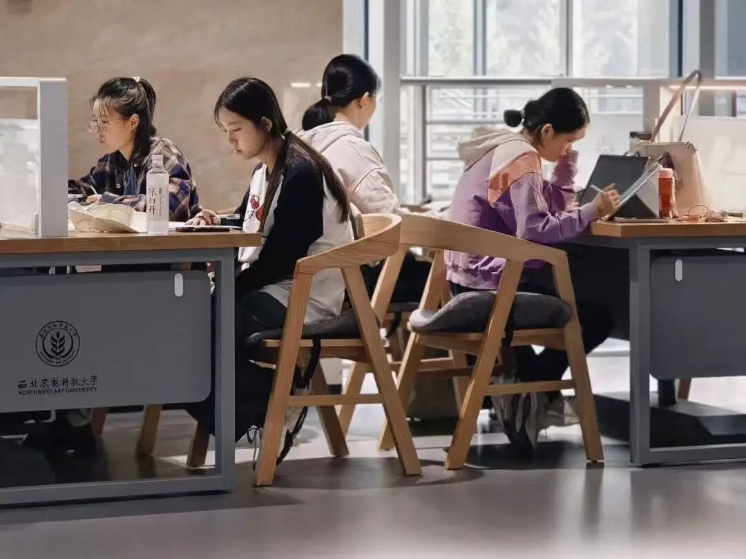 西北农林科技大学_西北农林科技大学隐藏自习室_西农图书馆自习区域