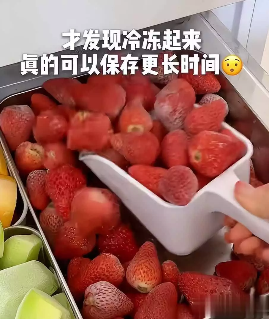 破壁机蔬果 有营养吗_破壁机果蔬汁做法_破壁机水果冰淇淋制作