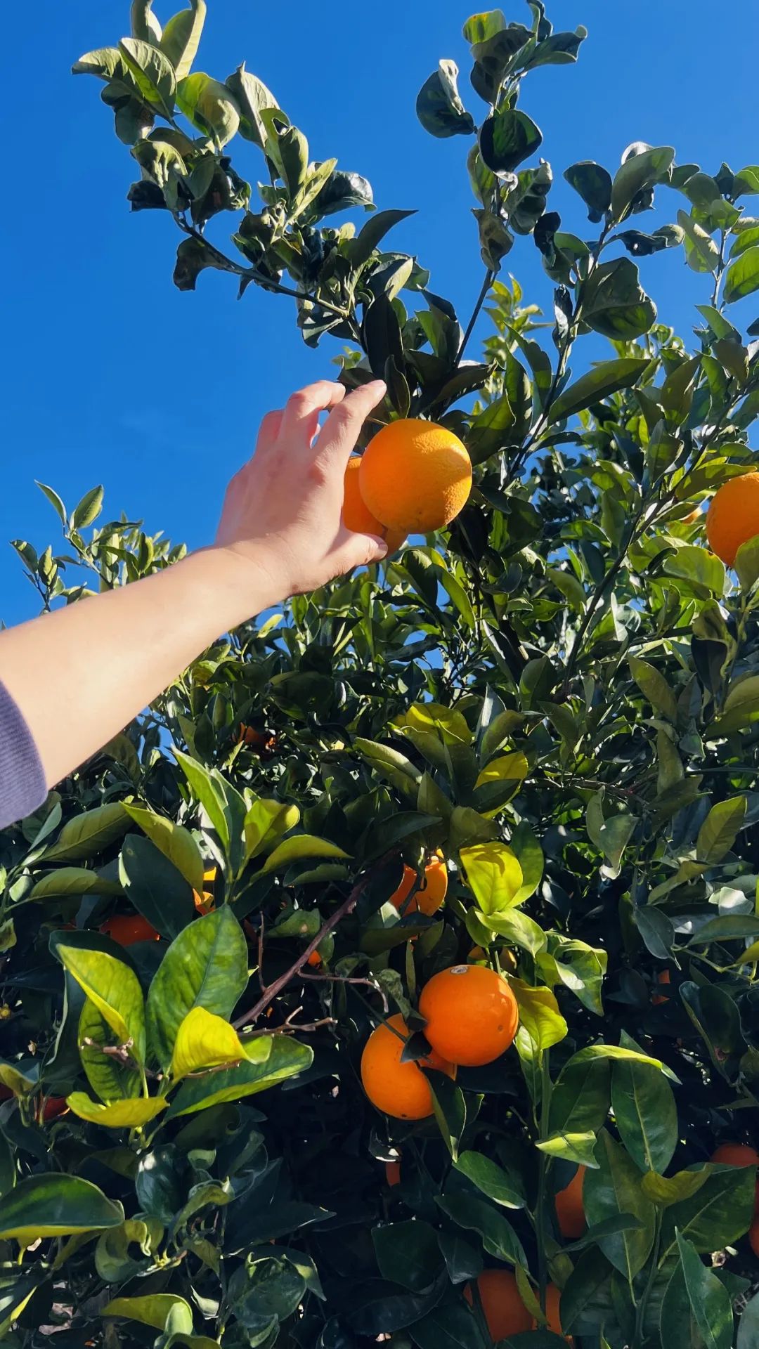 人大校友捐赠抗疫药品_中国人民大学校友捐赠防疫物资_中国人民大学校友