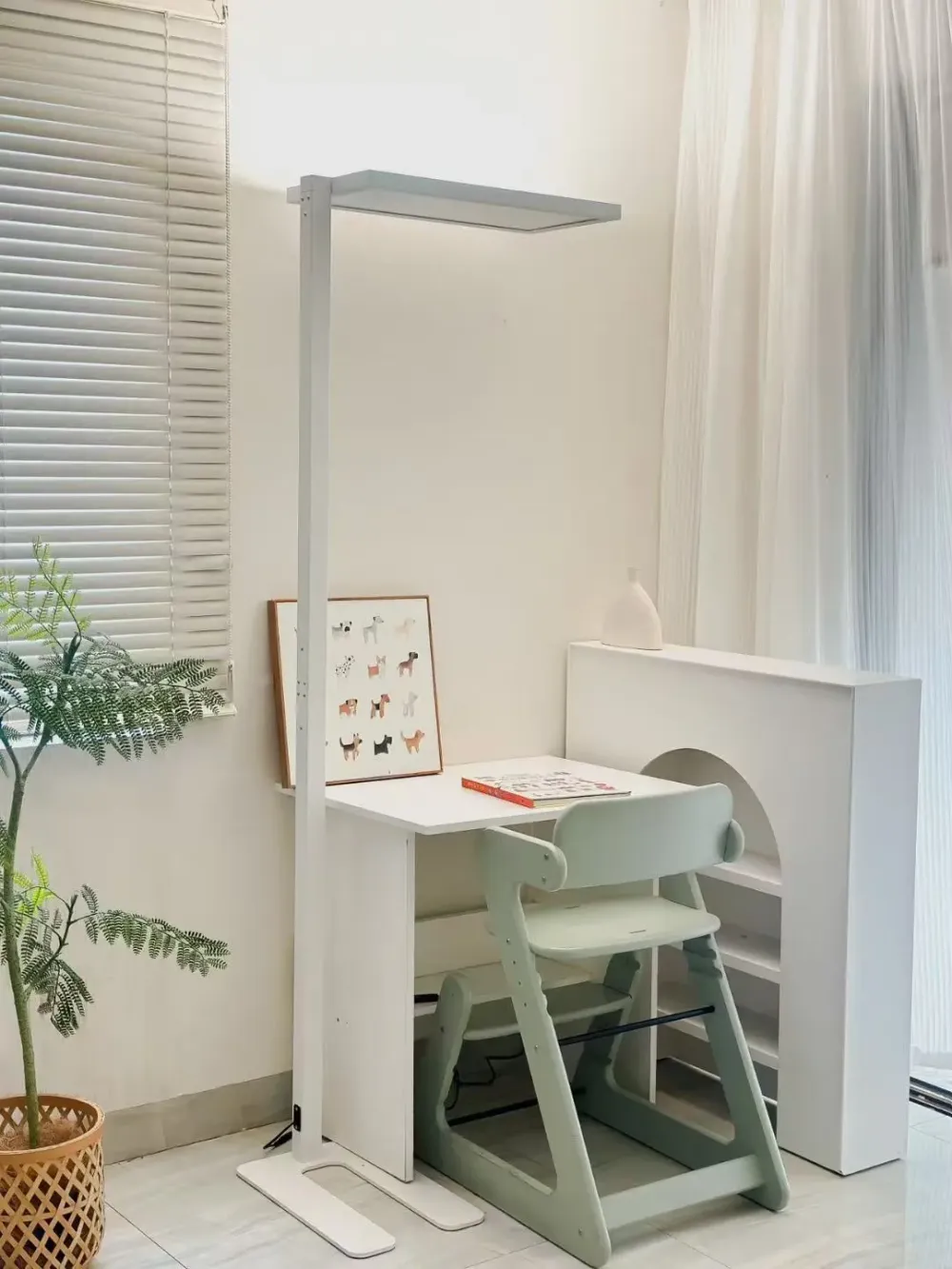 大路灯 3000 5000 899元_大路灯体验