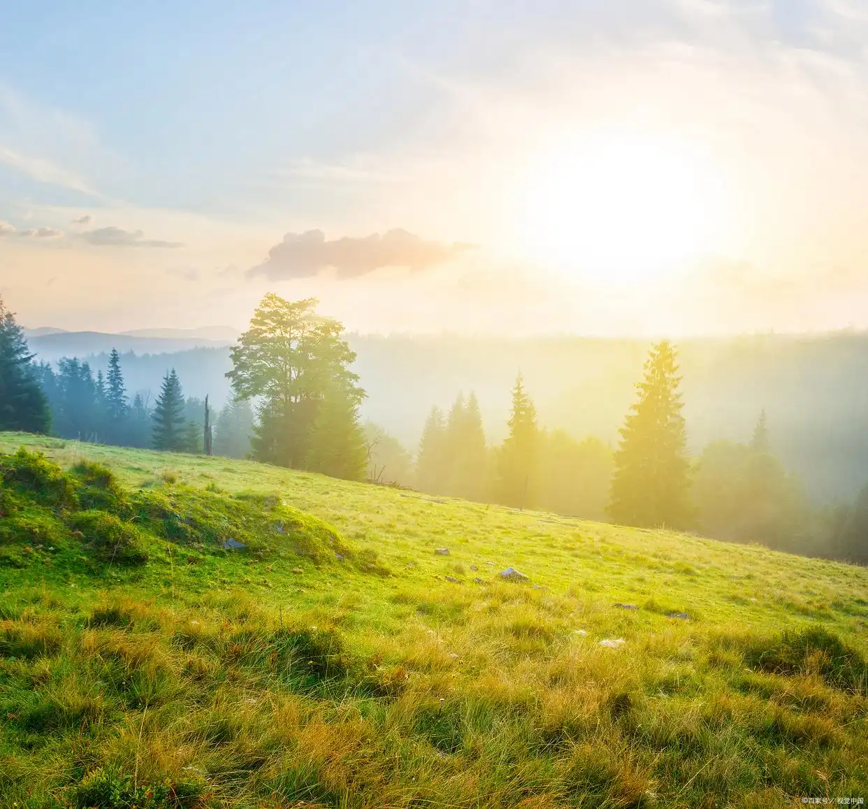 孙正义 传记_孙正义以前创业失败_孙正义 投资生涯