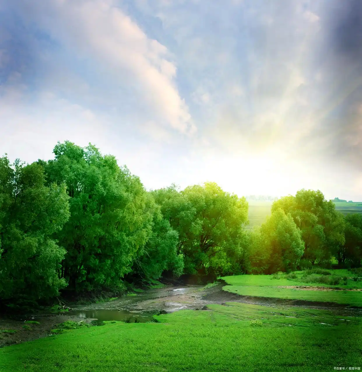 孙正义以前创业失败_孙正义 传记_孙正义 投资生涯