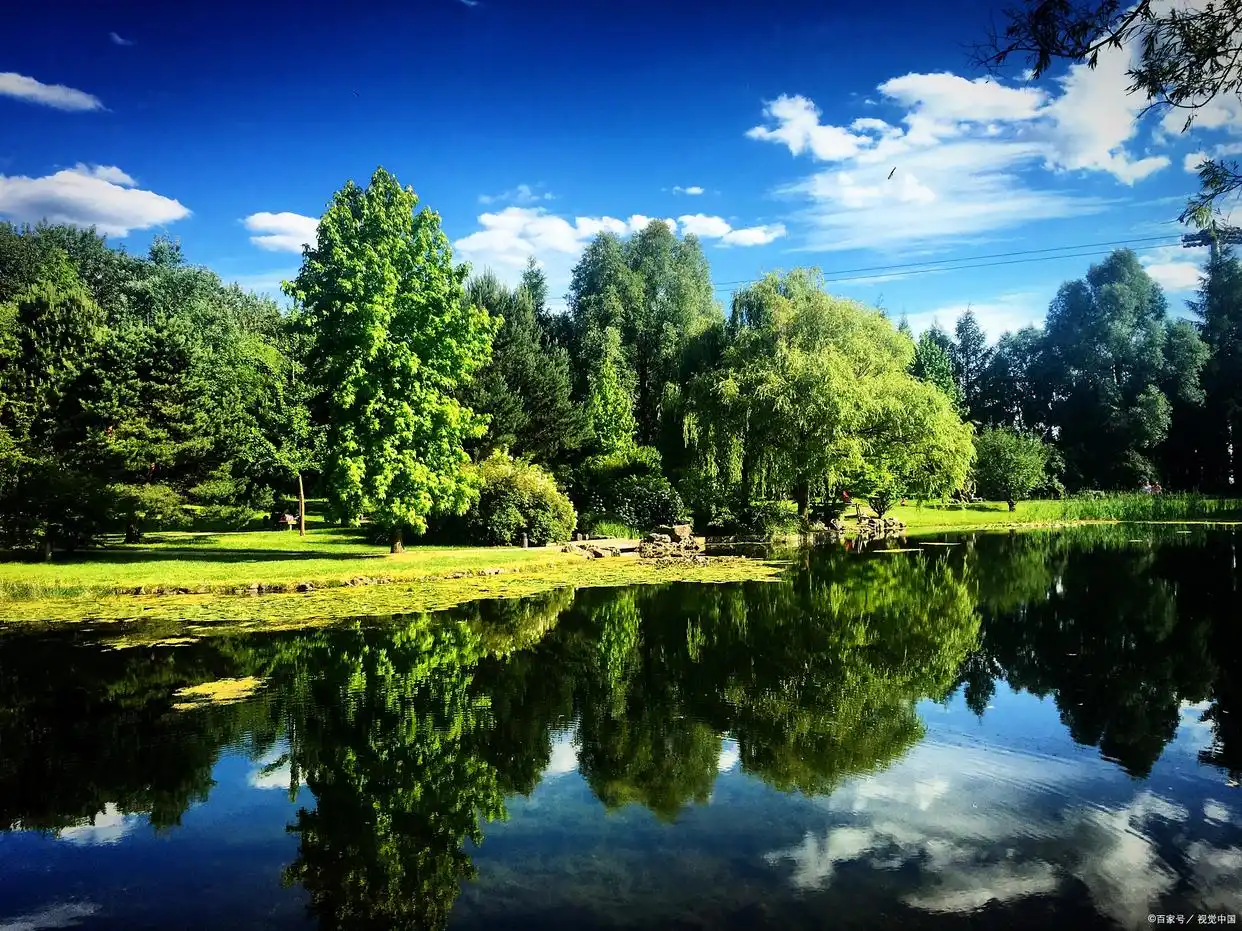 孙正义 投资生涯_孙正义 传记_孙正义以前创业失败