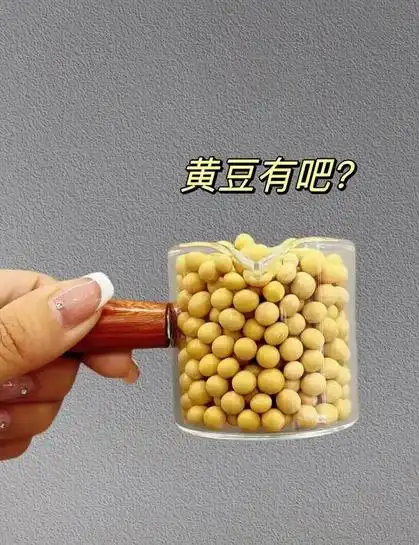 破壁机打豆浆教程_破壁机制作香浓豆浆方法_如何用破壁机打豆浆机