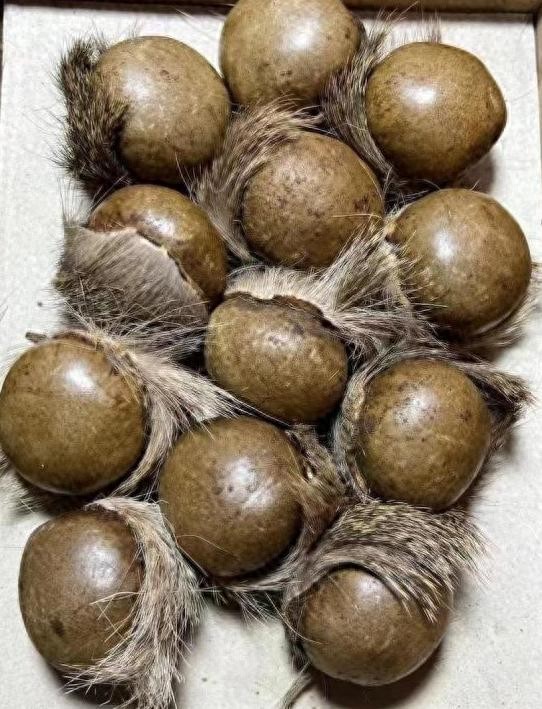 古代女性避孕手段_清代宫女避孕方法_避孕贴怎么用