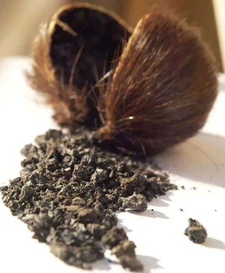 避孕贴怎么用_清代宫女避孕方法_古代女性避孕手段