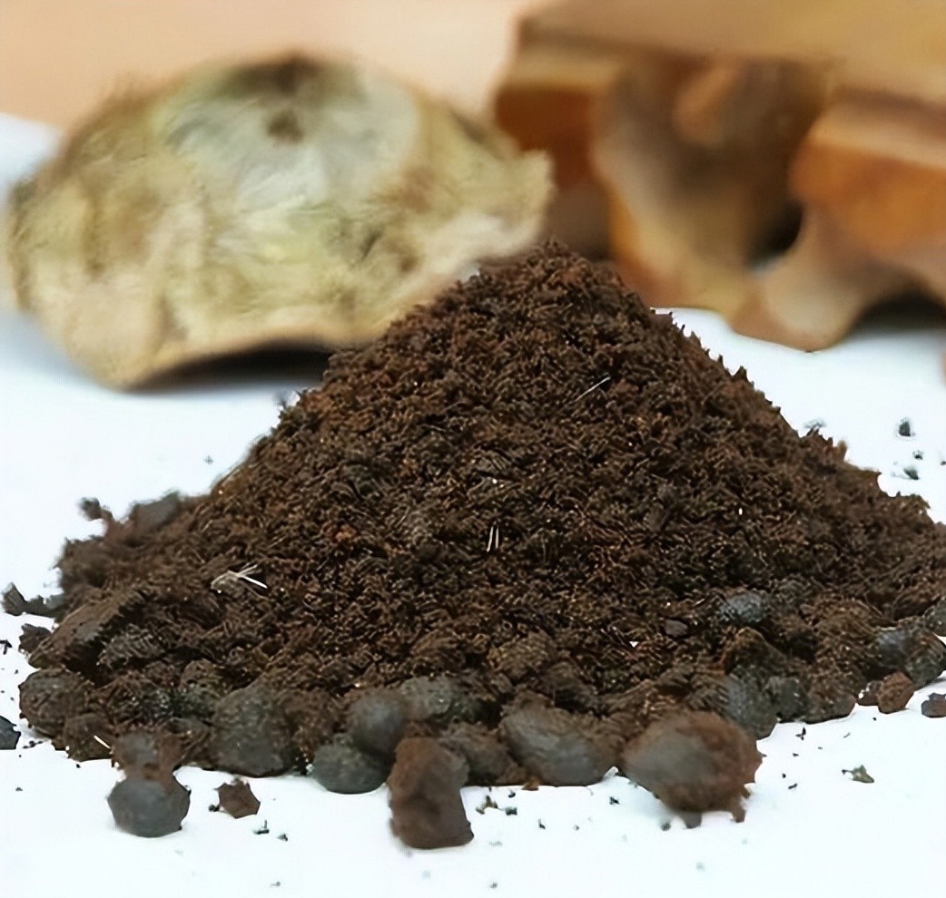 清代宫女避孕方法_避孕贴怎么用_古代女性避孕手段