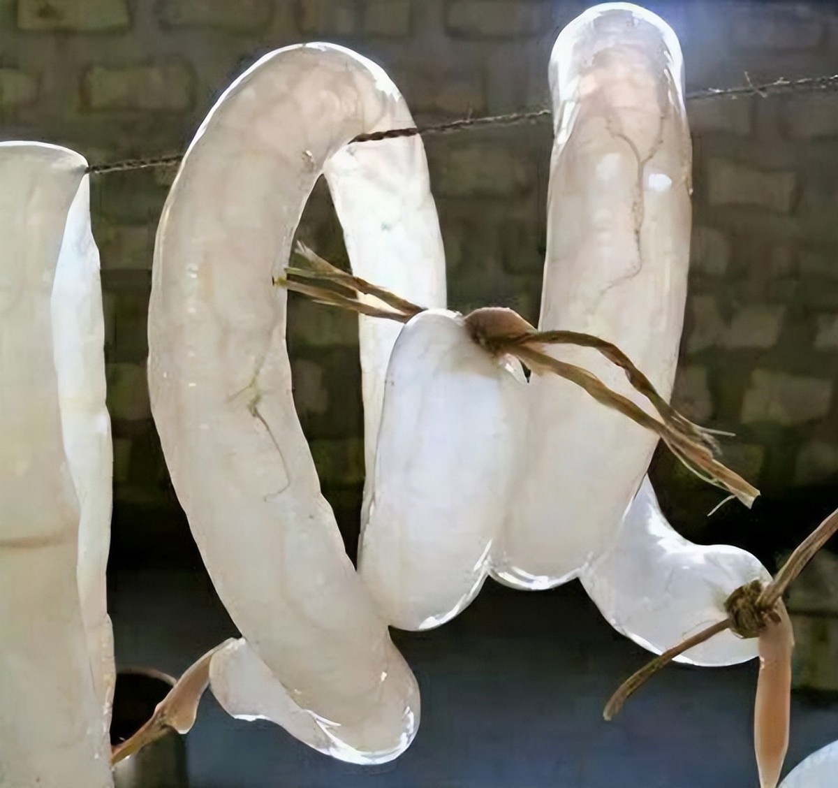 古代女性避孕手段_清代宫女避孕方法_避孕贴怎么用