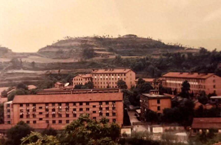 毕业于北京外国语学院_北京外国语大学毕业的_北京外国语学院毕业后的工作