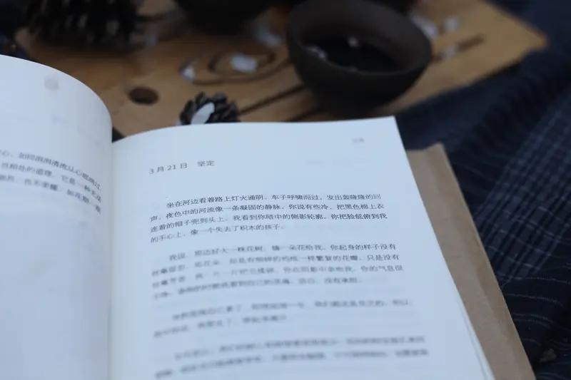 文学影视改编_中国比较文学_影视改编技巧