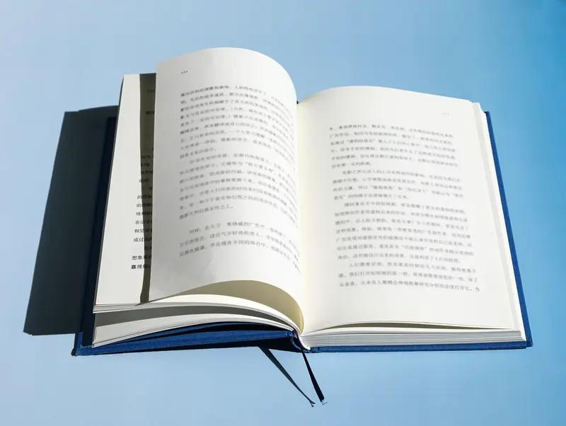 影视改编技巧_中国比较文学_文学影视改编