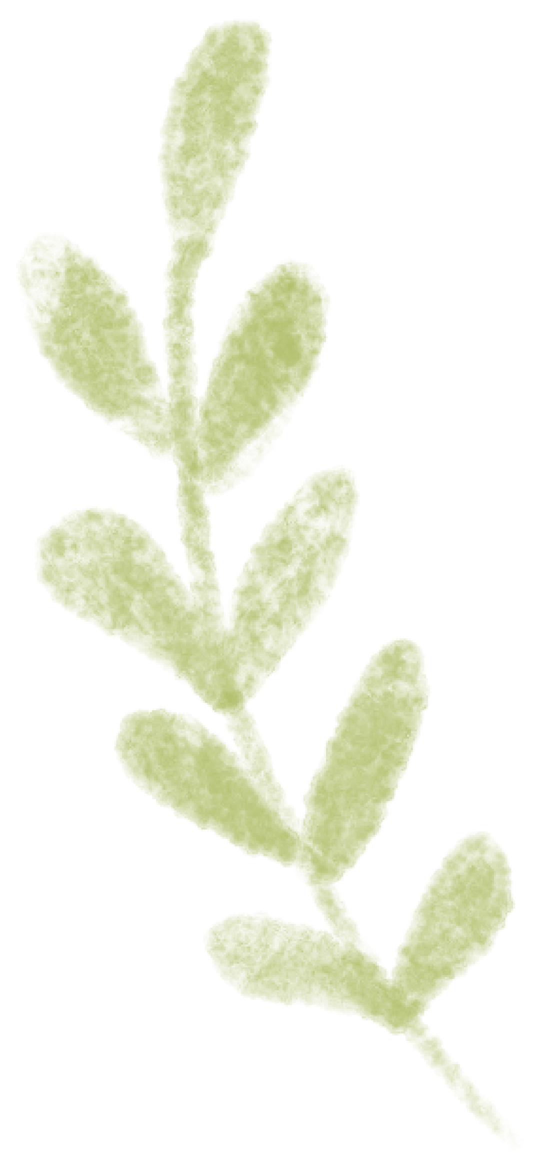 全国联招考试资格审核严格_华侨生联考_港澳台学生联招报名材料清单