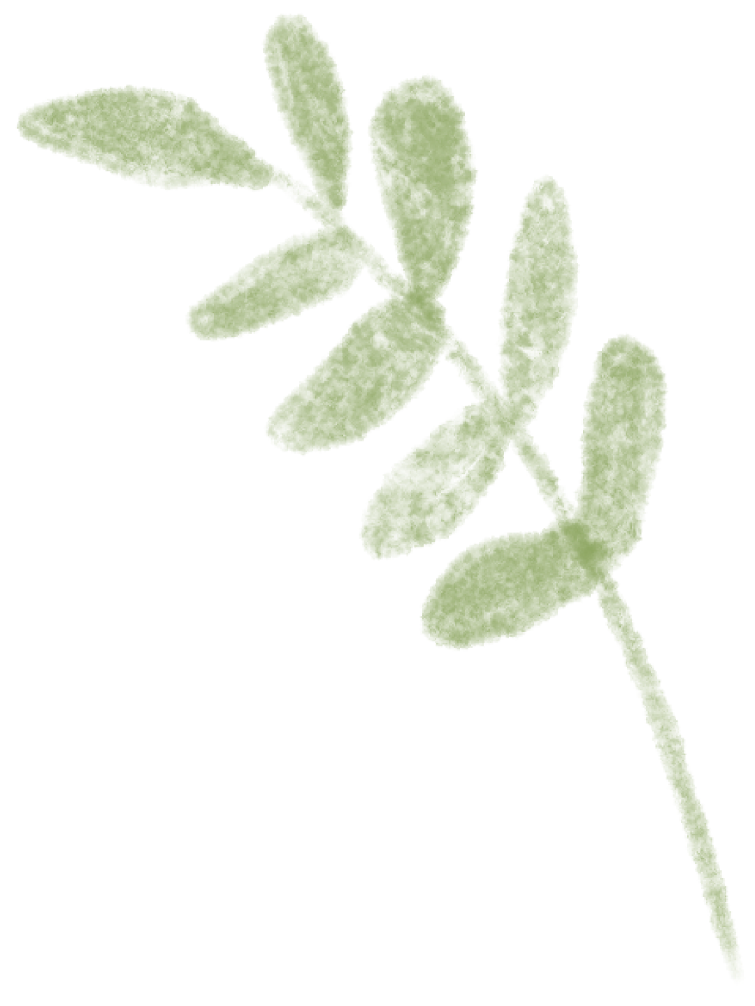 全国联招考试资格审核严格_华侨生联考_港澳台学生联招报名材料清单