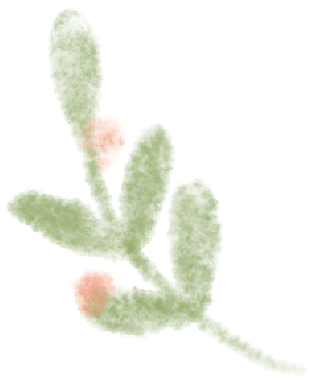 全国联招考试资格审核严格_华侨生联考_港澳台学生联招报名材料清单