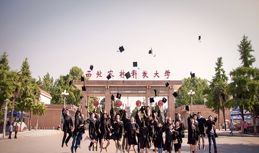 杨凌农业示范区大学_西北农林科技大学985大学_西北农林科技大学