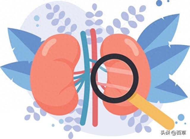 男人体虚类型症状表现根源调理方法_男性体虚常见类型及调理技巧_男人晚上出虚汗原因