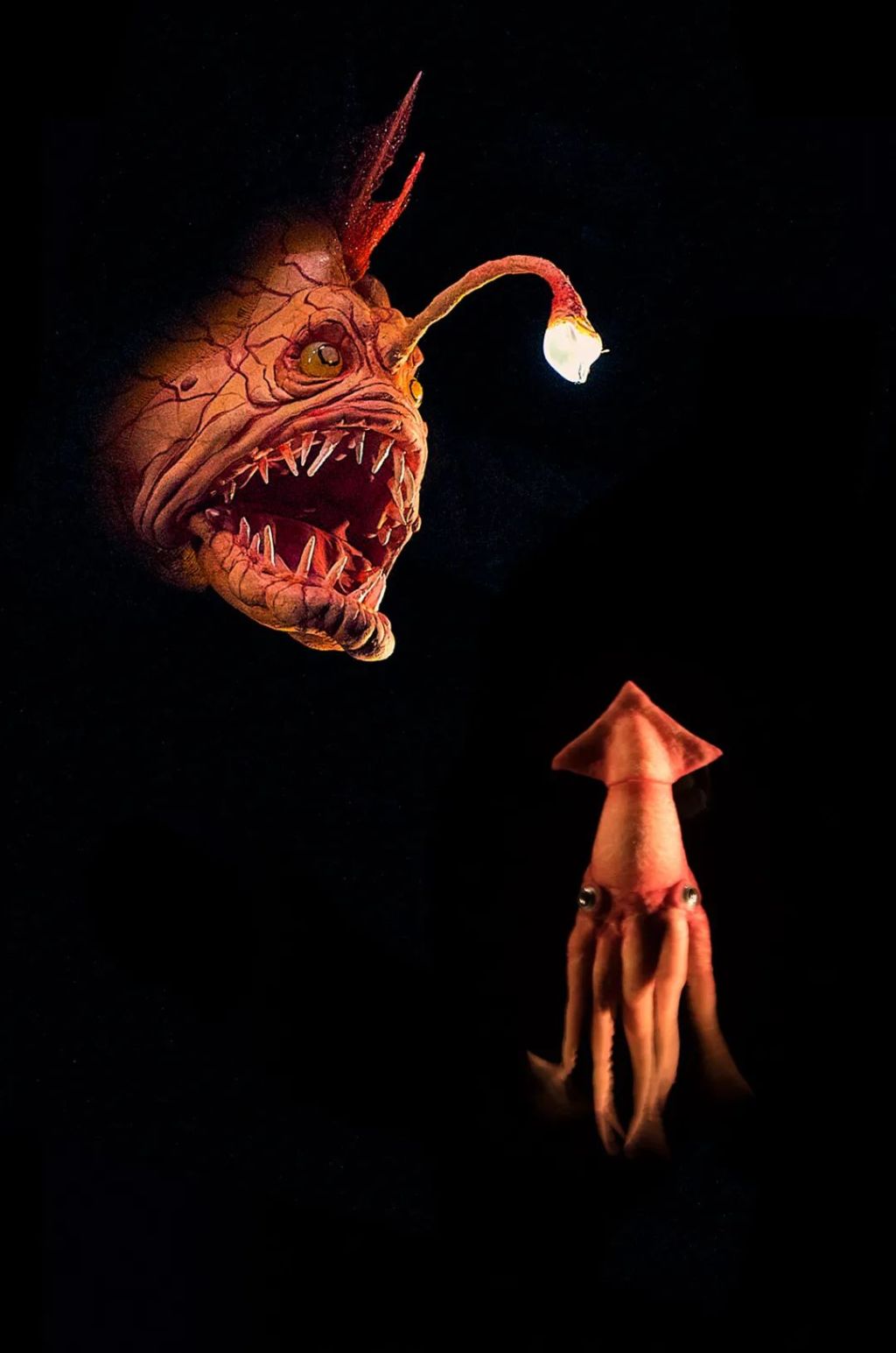 灯电脑唛架技_电脑灯_灯电脑插电视机后电脑黑屏