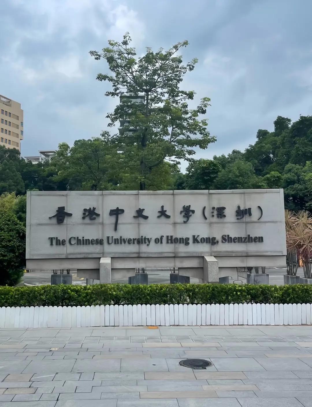 香港中文大学（深圳）学科建设_香港中文大学（深圳）发展历程_香港中文大学(深圳)