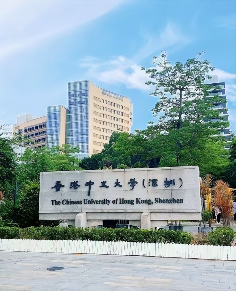 香港中文大学（深圳）发展历程_香港中文大学（深圳）学科建设_香港中文大学(深圳)