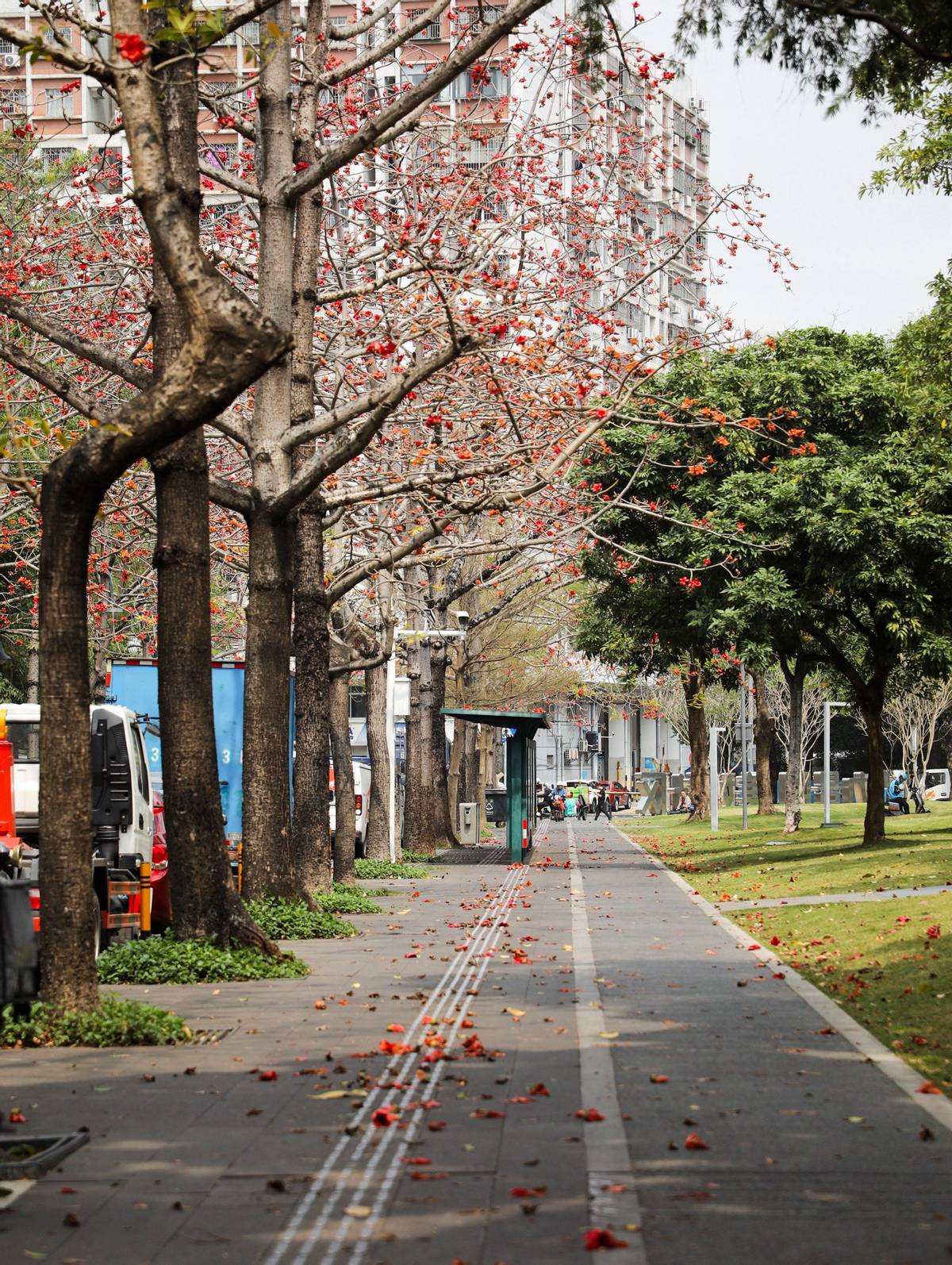 香港中文大学(深圳)_香港中文大学（深圳）发展历程_香港中文大学（深圳）学科建设