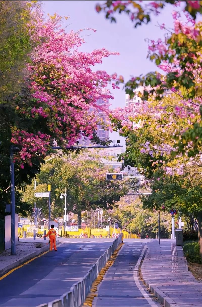 香港中文大学（深圳）发展历程_香港中文大学（深圳）学科建设_香港中文大学(深圳)