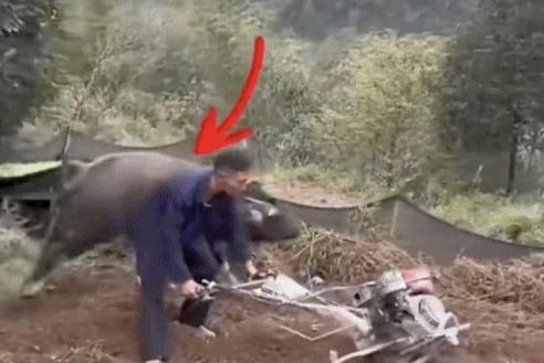 曼月乐治疗痛经_曼月乐避孕环_避孕贴怎么用