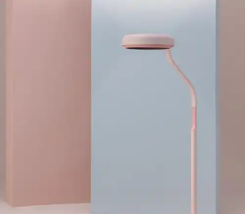 大路灯体验_大路灯是不是智商税_家长如何避免被割韭菜