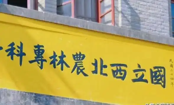 西北农林科技大学_西北农林科技大学 照顾类985 西部大开发