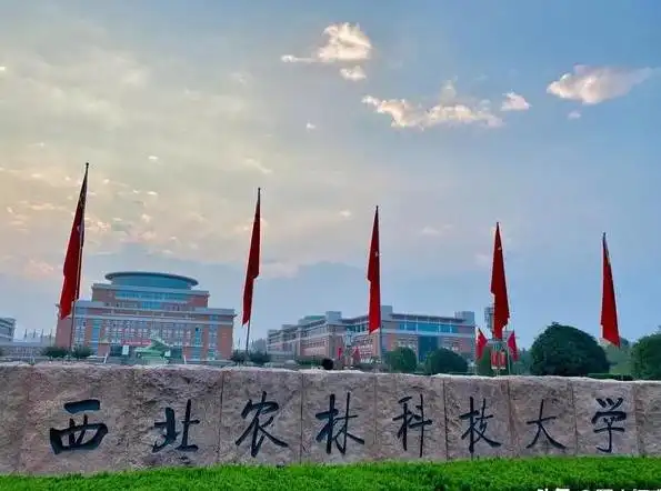 西北农林科技大学_西北农林科技大学 照顾类985 西部大开发
