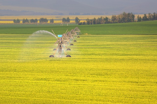 西北农林科技大学_双一流大学西北农林科技大学_西北农林科技大学