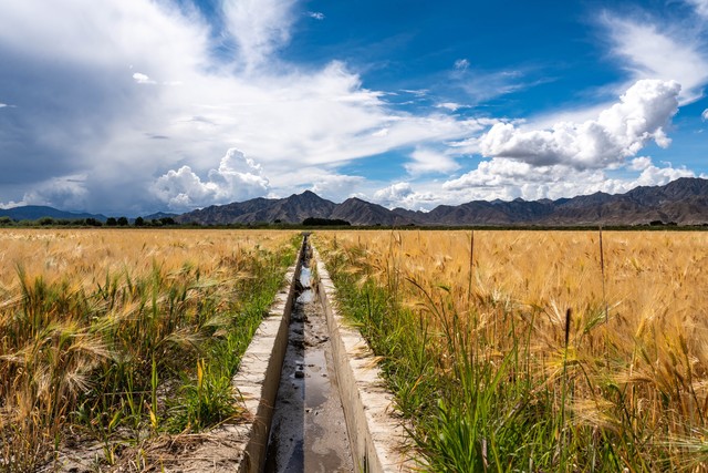 西北农林科技大学_西北农林科技大学_双一流大学西北农林科技大学