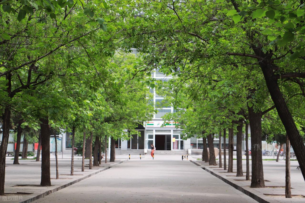 西北农林科技大学_西北农林科技大学_双一流大学西北农林科技大学