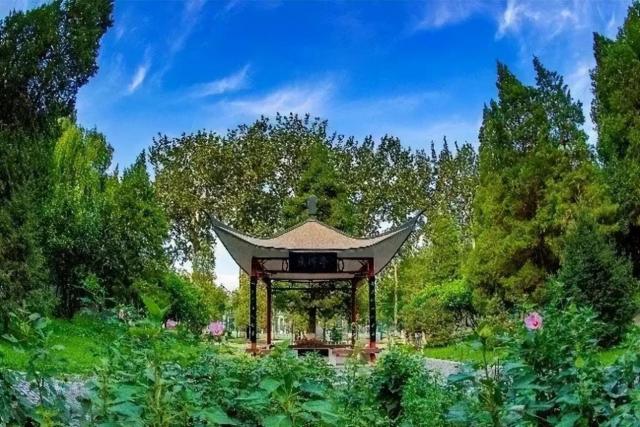 北外毕业生就业地域分布_北京外国语大学2022届毕业生就业质量_北京外国语大学毕业