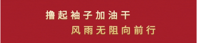 大路灯安装_太阳能路灯安装_前大章乡基础设施提升_民生实事路灯工程