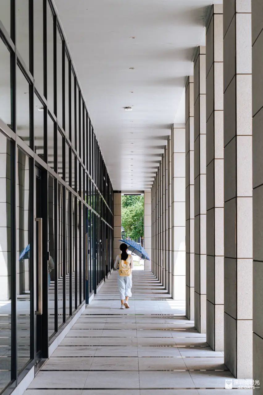 深圳北理莫斯科大学_深圳北理莫斯科大学_深北莫大学特色