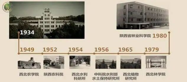 西北农林科技大学被低估的实力985_西北农林科技大学_西北农林科技大学招生情况分析