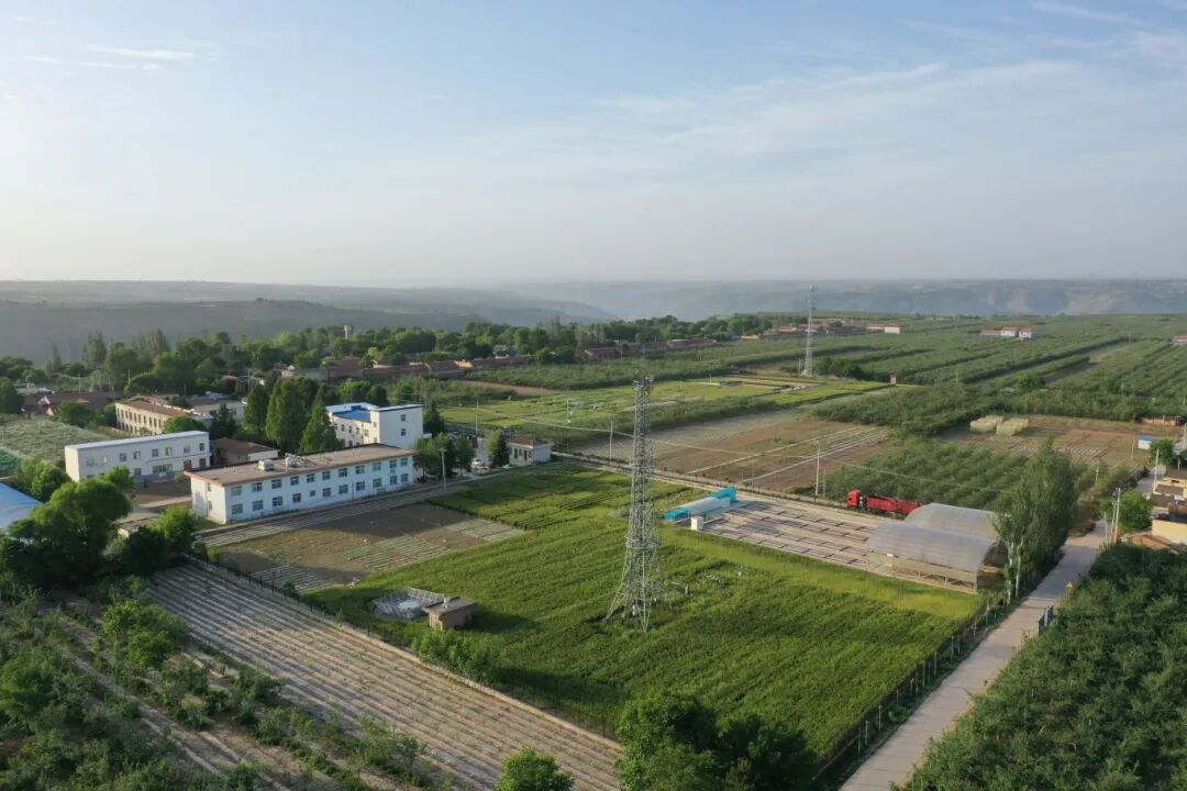 西北农林科技大学_西北农林科技大学被低估的实力985_西北农林科技大学招生情况分析