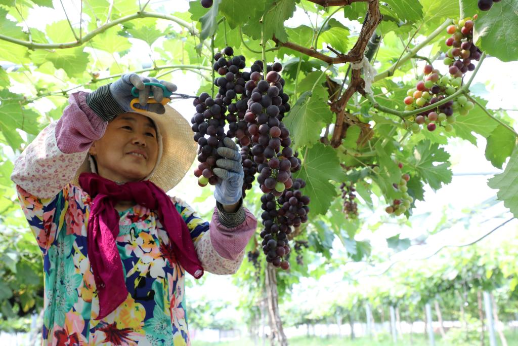 中国人民大学人文学院教授_中国人民大学导师介绍_中国人民大学教授
