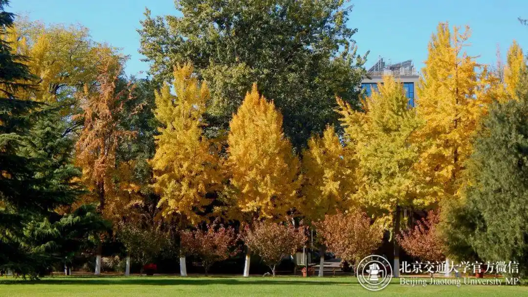 北京交通大学学生_北京交通大学网上预报到_北京交通大学新生指南