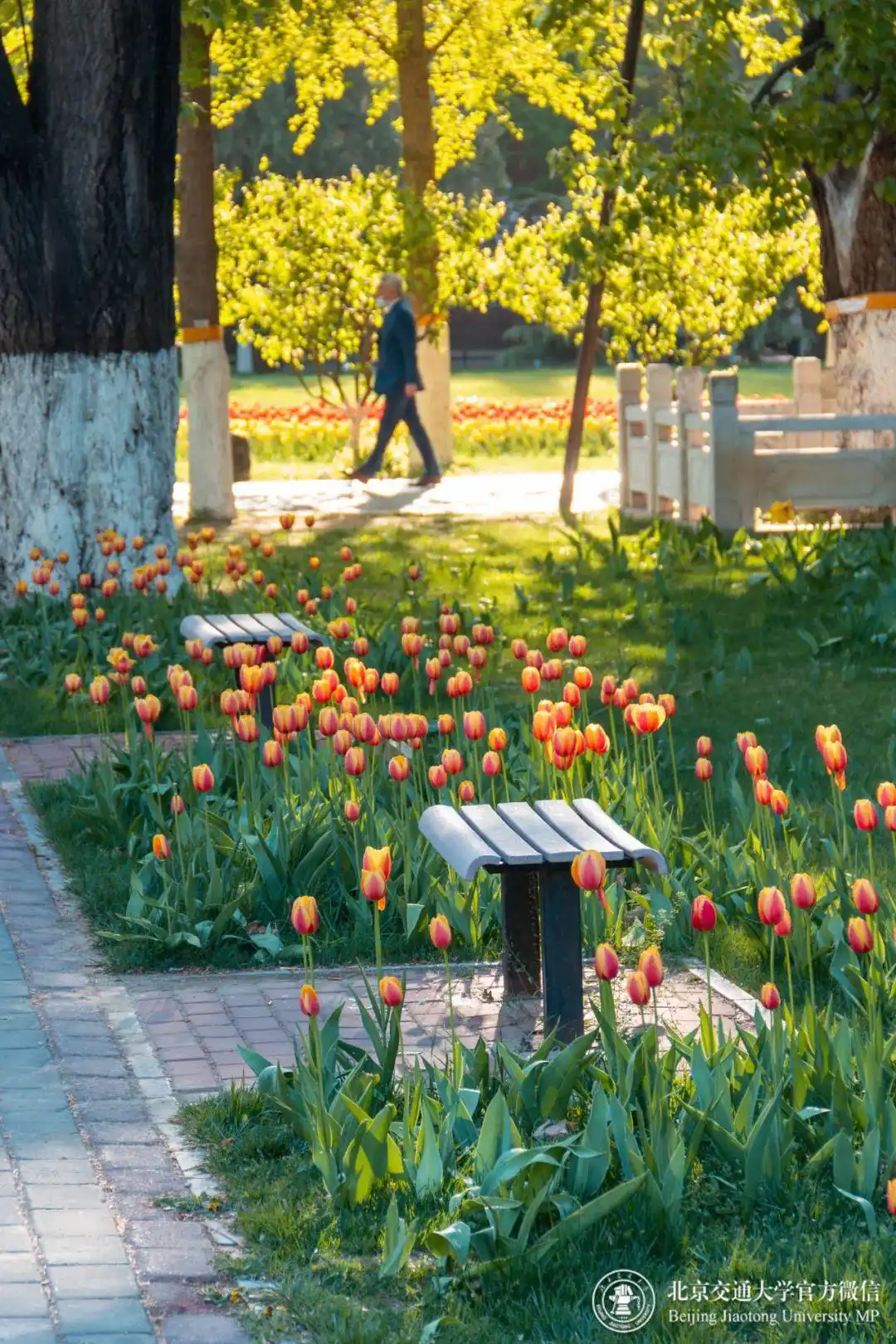 北京交通大学网上预报到_北京交通大学新生指南_北京交通大学学生