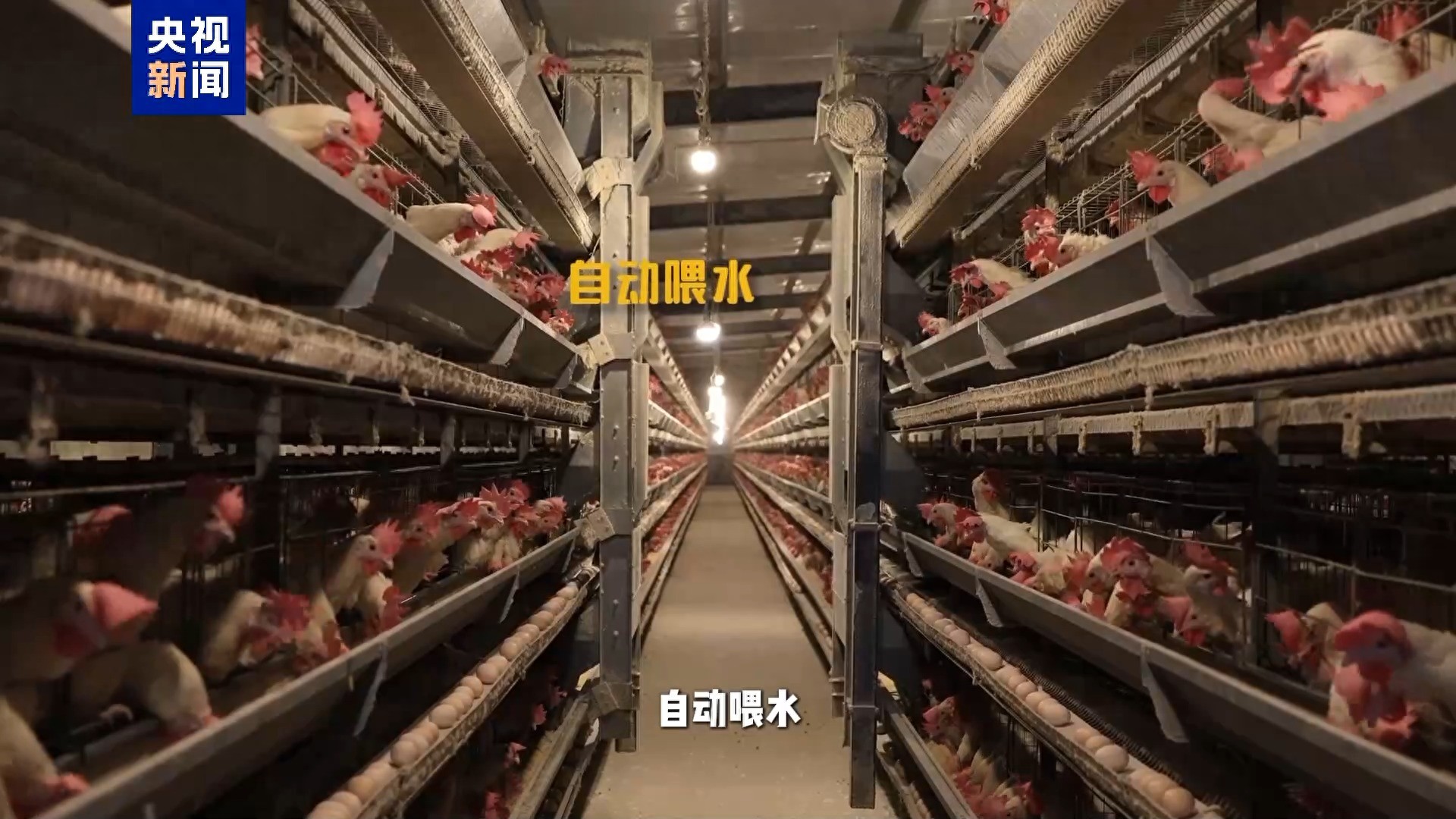 北京航天航空就业_毕业于北京航空航天大学_北京航天航空大学毕业去里